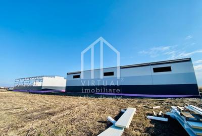 Spațiu industrial, de 528 mp, în Vest - 1