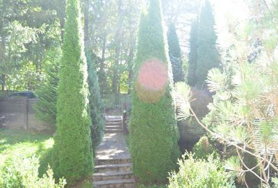 Vila de vacanta situata in Predeal-Cioplea - 1