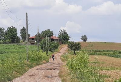 De vânzare fostă cramă 2000p teren, 224 mp construcție - 4