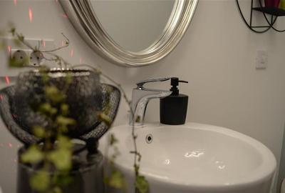 Nivel in vila, in caracter unic, dotari de colectie, terase, parcare securizata, - 23