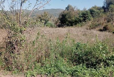 Teren de 500 mp, în Moigrad-Porolissum - 5