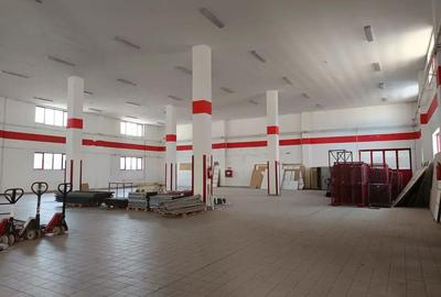 Spațiu comercial, de 15,000 mp, în Huși - 8