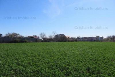 Teren constructii zona Lacu Sarat, suprafata 3393 mp, 22 eu - 1