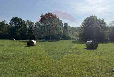 Teren Construcții intravilan de 10000 mp, în Călățele - 7