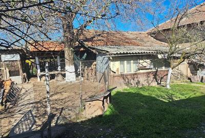 Casă cu 4 camere cu Teren 780 Mp în Urzicuța - 5