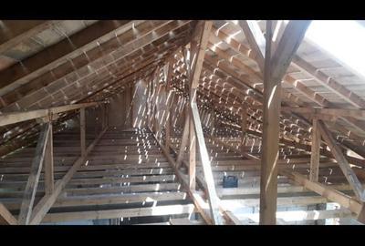 Casă cu 5 camere în Balta Doamnei - 3