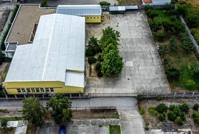 Hala pentru activitati diverse in Vladimirescu - 2