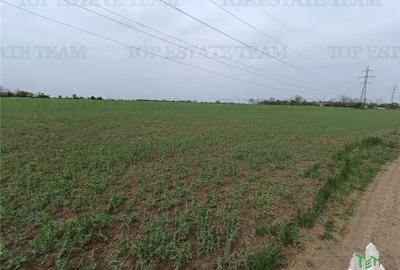 TEREN 10000 MP, ZONA SERE - 7