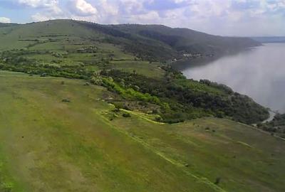 Teren extravilan de 76734 mp, în Baziaș - 5