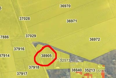Teren de 3000 mp, în Greci - 2