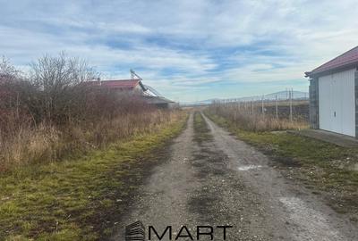 Teren Intravilan 1105 mp Sanpetru - 2