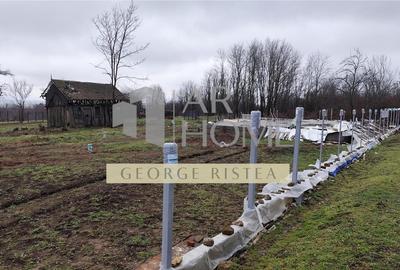 Teren Construcții intravilan de 590 mp, în Sud - 5