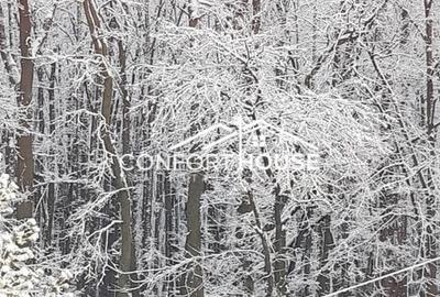 VILA D+P+E+M, 12 camere, piscina , padure, IANCU NICOLAE - 39