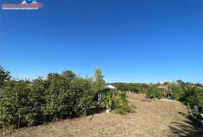 Teren de in localitatea Cataloi Tulcea - 13