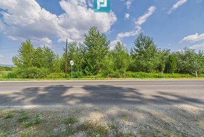 Teren extravilan de 5.219 mp în Geoagiu la șosea - 2