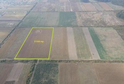 Teren de 21350 mp, în Moșnița Nouă - 2