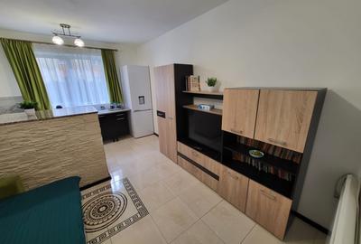 Garsoniera  suprafata utila 25mp, spre vanzare in Vasile Aaron - 2