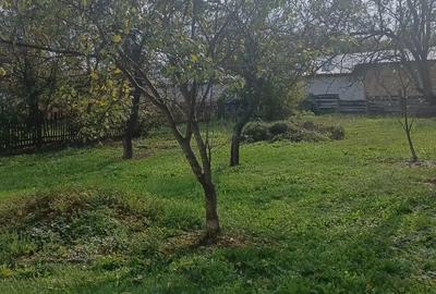 Casă cu 2 camere în Săvârșin - 3