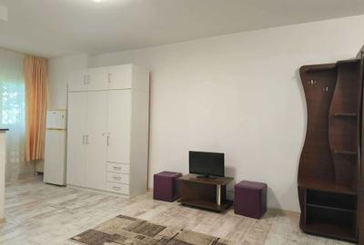 Garsonieră semidecomandată în Calea București - 4