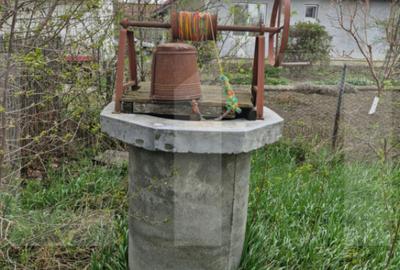 Casa batraneasca cu 2700mp teren intravilan - Broscauti - 2