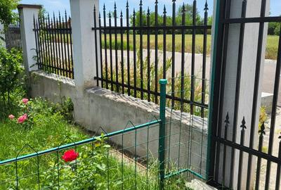 Casa P+M 6 camere Sat Prunaru Jud Teleorman  la 50 km de Bucuresti - 12