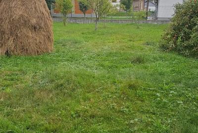 Vand casa Vand casa - 7