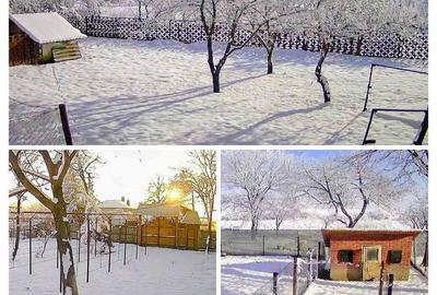 Casă cu 2 camere cu Teren 3052 Mp în Uliești - 6