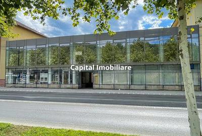 Spa?iu comercial 500 mp, Re?i?a