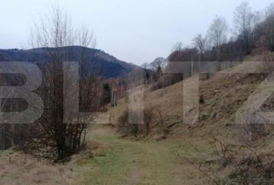 Teren de 140000 mp, în Central - 1