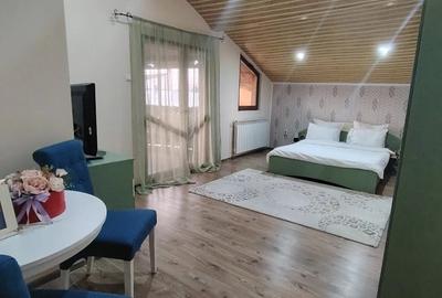 Casă cu 6 camere cu Teren 390 Mp în Central - 4