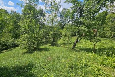 Teren agricol intravilan de 2500 mp, în Valea Doftanei - 2