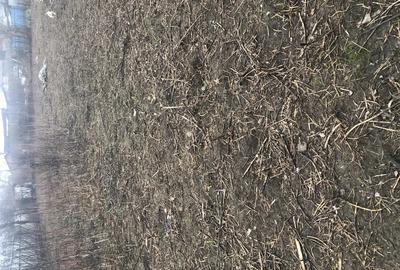 Inchiriez teren intravilan - 2