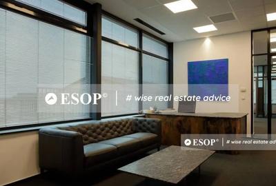 Spațiu comercial, de 5,900 mp, în Băneasa - 10