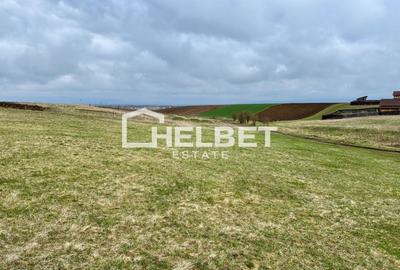 Teren Construcții intravilan de 1200 mp, în Bod - 1