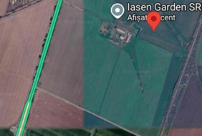Teren de 38000 mp, în Sud - 1