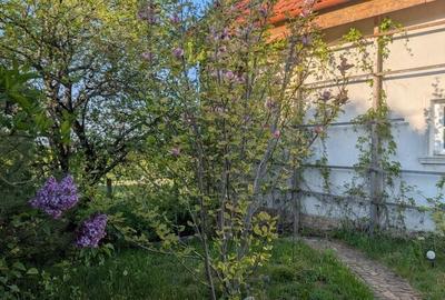 Casă cu 2 camere cu Teren 850 Mp în Daia - 6