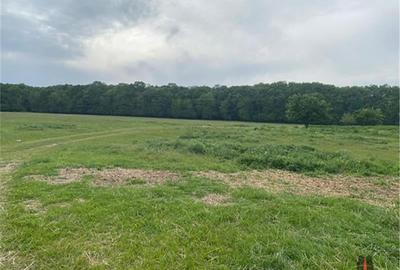 TEREN INTRAVILAN  852MP / FS 17ML / PIPERA / OXFORD / PADURE TEREN INTRAVILAN  852MP / FS 17ML / PIPERA / OXFORD / PADURE - 4