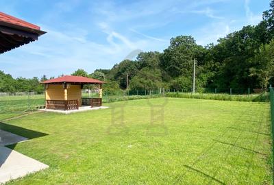 Conacul CERUL VLASIEI cu Grădină 1077 m2 langa padure - 4