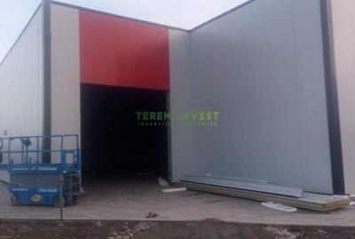 Hala depozitare -  Cernica  Theodor Pallady - 2