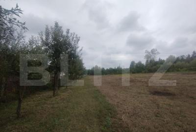 Cabana + teren intravilan, 50 ari, oras Beclean - 5