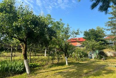 Casă cu 4 camere în Vărzaru - 4