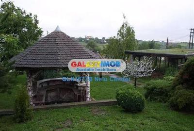 VANZARE 10.000 MP LOCALITATEA ILEANA 49 KM BUCURESTI - 4