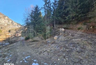 Teren de 2977 mp, în Scărișoara - 6