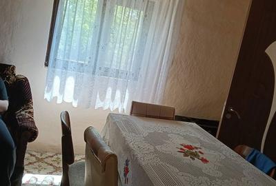 Casă cu 4 camere în Valea Scheilor - 5