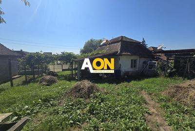 Comision 0%! Casa 3 camere Gura Ariesului, 1500mp Teren - 10