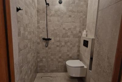 Birou, de 165 mp, în Romană - 8