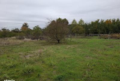 Teren de 1900 mp, în Corbeanca - 6