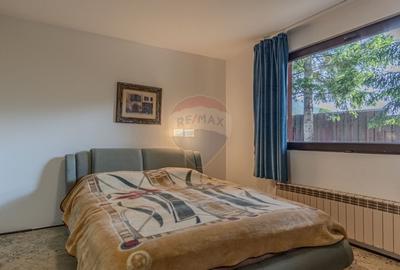 Casa de vacanta sau investitie turistica in Gresu - langa Lepsa - 33