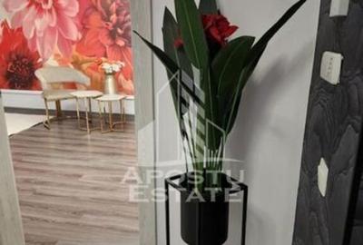 Apartament cu 2 camere decomandat, mobilat în Circumvalațiunii - 5