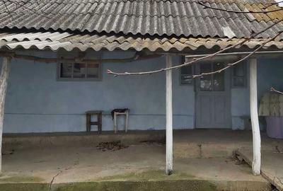 Casă cu 2 camere în Arsura - 2